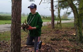 Prace porządkowe na Cmentarzu w Siekierkach